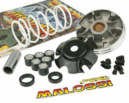 VARIATOR MULTIVAR 2000 MALOSSI 519019